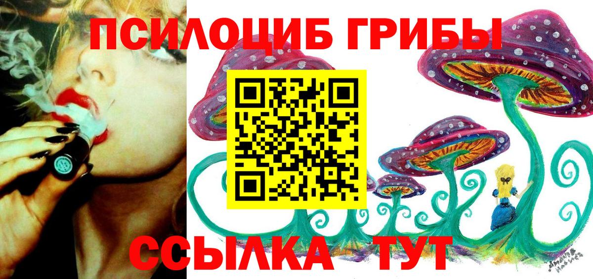 Мытищи  Псилоцибиновые грибы мицелий  Вход с VPN 