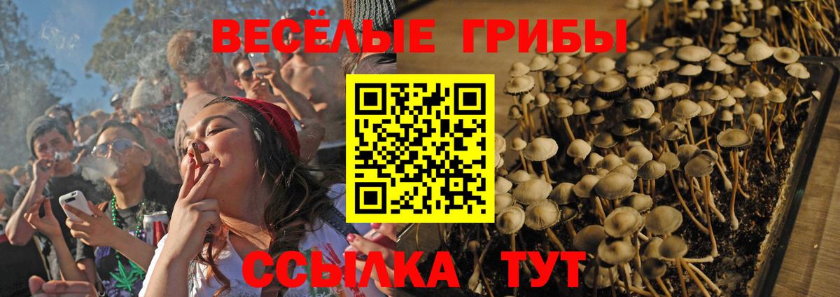 Псилоцибиновые грибы мицелий Мытищи